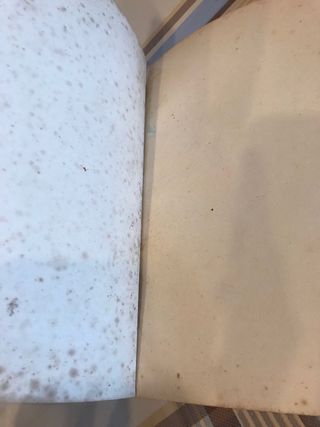 De España a la India en automóvil￼. 1945 aprox.