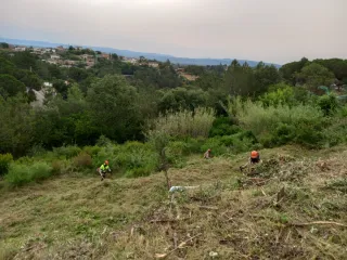 Limpieza y desbroce parcelas y jardines