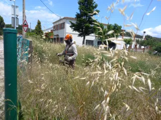 Limpieza y desbroce parcelas y jardines