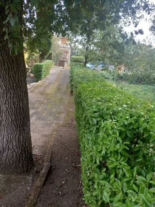 Limpieza y desbroce parcelas y jardines