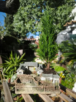 Maceta pueblo japonés con bonsái.