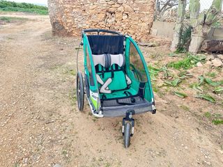 Remolque bicicleta Qeridoo Sportrex2