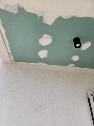 Oficial de pintura y alizado