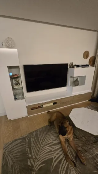 Oficial de pintura y alizado