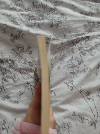 Maytalia y los inventores