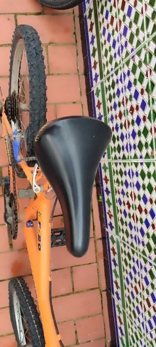 Bicicleta infantil naranja