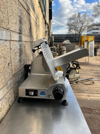 Cortafiambres industrial disco 25 cm