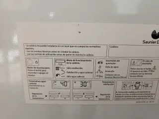 Calentador Saunier Duval Thema