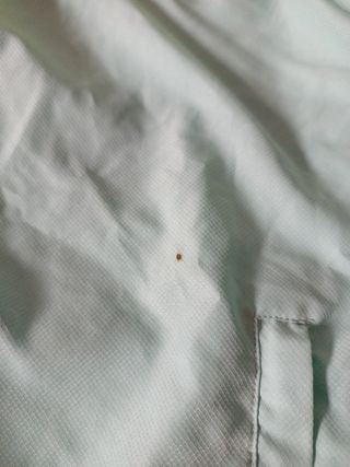 Chaqueta chándal Lacoste Daniilm.