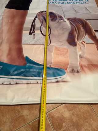 Cartel Bulldog con correa