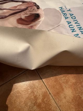 Cartel Bulldog con correa