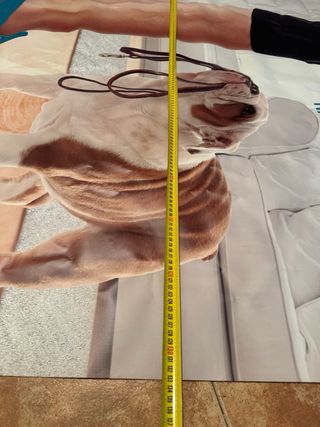 Cartel Bulldog con correa