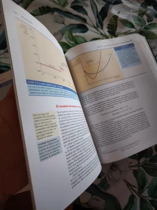 Microeconomía. Libro de Pindyck