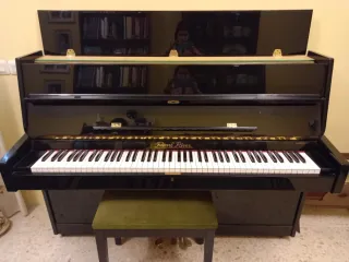 Piano Vertical Negro Pearl River