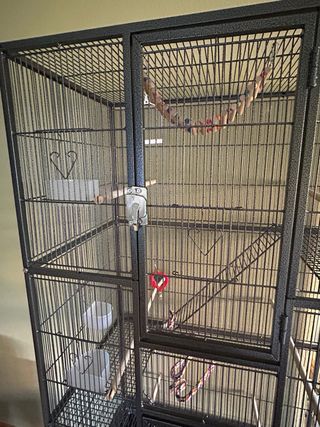 Jaula grande para pájaros 175 cm