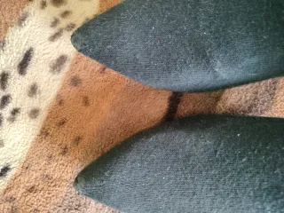 Botín Zara Negro Talla 39