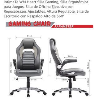 Silla gaming/oficina negra y gris