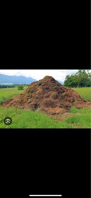 Estiércol de caballo gratis