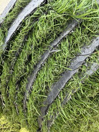 Césped Artificial Modelo MARSELLA