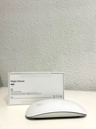 Apple Magic Mouse Plata