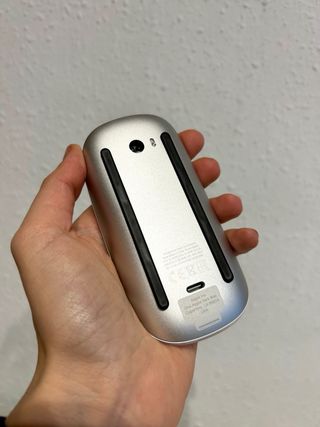 Apple Magic Mouse Plata