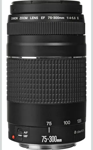 Cámara Canon EOS 2000D + objetivos