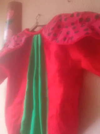 Disfraz de mariquita para bebé