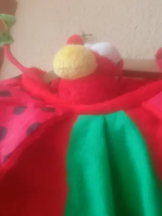 Disfraz de mariquita para bebé