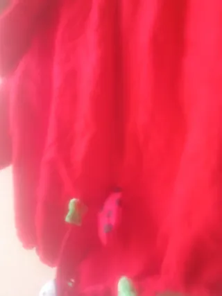 Disfraz de mariquita para bebé