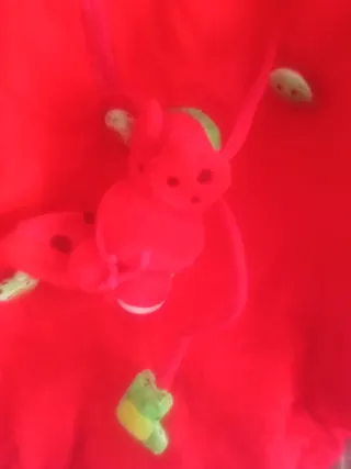 Disfraz de mariquita para bebé