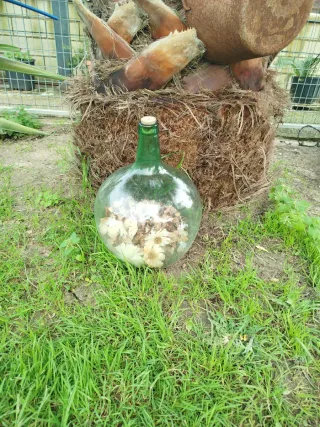 Botella de cristal grande verde