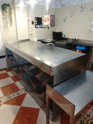 Mostrador acero inoxidable 5 meses