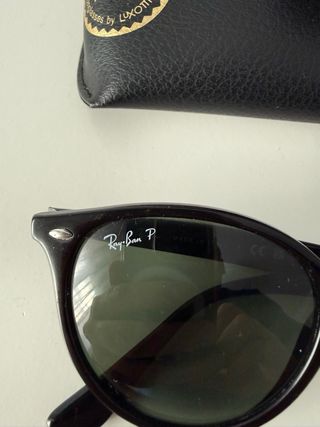 Gafas de sol Ray-Ban RB4305 Negras