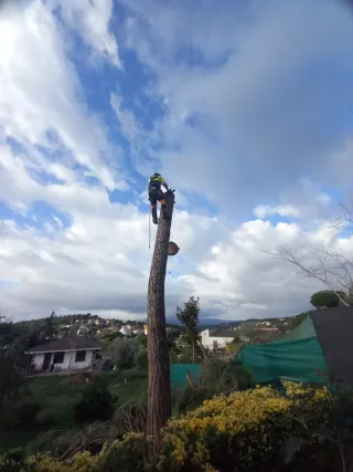 Limpieza parcelas jardines y desbroces