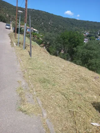 Limpieza parcelas jardines y desbroces