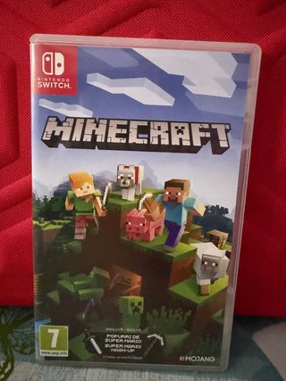 Minecraft Nintendo Switch