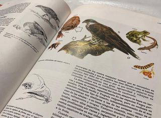 Enciclopedia y VHS Salvat De Fauna Ibérica/Europea