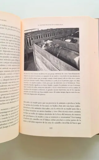 El mundo hasta ayer, De animales a dioses, Lote