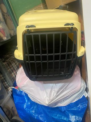 Transportín para gato