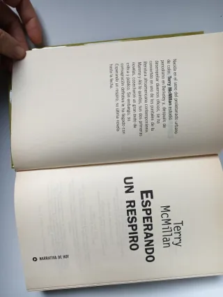 Esperando un respiro de Terry Mcmillan