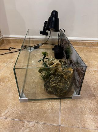 Tortuguera 60cm con Accesorios