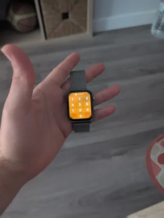 Apple Watch Series 5 Acero Inoxidable
