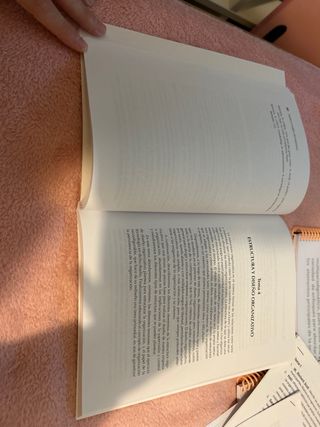 Libro Diseño y Cambio Organizativo ADE UNED