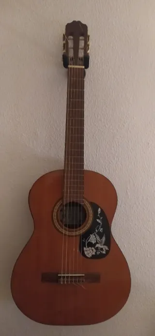 Guitarra de maderas nobles