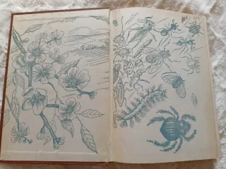 La primavera silenciosa Primera edición