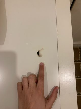 Dos Muebles blancos y mimbre