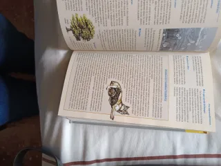 PICOS DE EUROPA: ATLAS DE CARRETERAS (1:400000)...