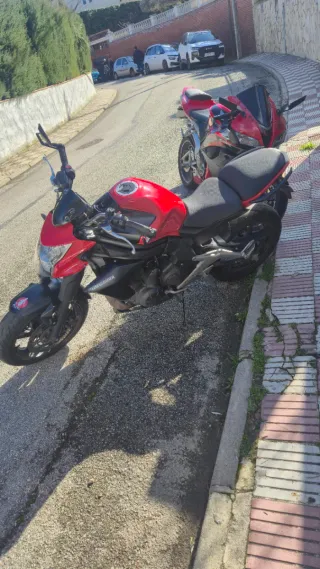 Kawasaki ER6N Roja