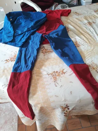 Disfraz Zorro y Spiderman