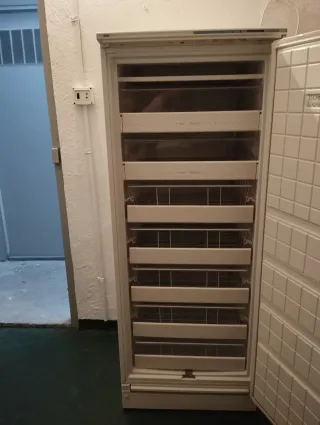 Congelatore Verticale Bianco